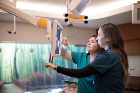 Two nurses viewing a scan