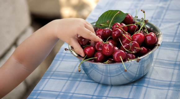 Child's hand reaching for cherries in a bowl