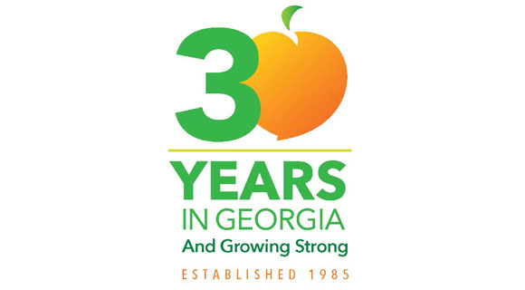 Georgia's 30th Anniversary logo
